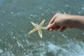 child holds in his hand the large starfish Royalty Free Stock Photo