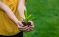 The child holds the plant and soil in his hands. Selective focus. Royalty Free Stock Photo