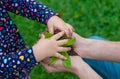 The child holds the plant and soil in his hands. Selective focus. Royalty Free Stock Photo