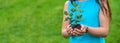 The child holds the plant and soil in his hands. Selective focus. Royalty Free Stock Photo