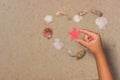 Child holds red starfish. Child hand with starfish. Sea shells on sandy beach. Summer background. Top view