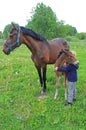 Child with horses Royalty Free Stock Photo