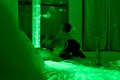 Child with intellectual disability in sensory stimulating room, snoezelen. Autistic child interacting during therapy session.