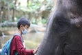 a child interacts with an elephant by touching and petting it at the zoo in Lombok, Indonesia