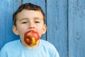 Child kid little boy apple fruit copyspace copy space outdoor outdoors outside Royalty Free Stock Photo