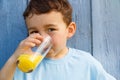 Child kid little boy drinking orange juice drink outdoor outdoor Royalty Free Stock Photo