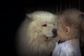 Child kid puppy dog husky care domestic animal concept animal love care friendship kindness