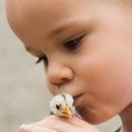 Child kissing little chick bird Royalty Free Stock Photo