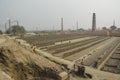 Child labor working with workers in a break filed