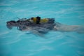 Child learns to dive in the pool , diving taster