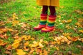 Child legs in boots on background of a golden maple leaves
