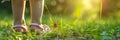 Child legs on grass and dangerous deer tick closeup banner with copy space, ixodes Ricinus, parasite