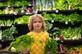 Child with lettuce chard vegetables. Shopping with kids. Kid buying fruit in supermarket. Little boy buy fresh Royalty Free Stock Photo