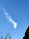 Child-like angel cloud photographed in the forest in Bloemfontein, South Africa