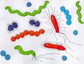 Child-like hand-drawn illustration of bacteria