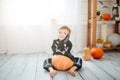 A child little boy in a skeleton costume is ready to celebrate Halloween. Boy in a halloween dress-up room. Royalty Free Stock Photo