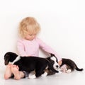 Child with little dogs playing at home. girl with puppies. baby girl kissing, hugging with puppy on white background Royalty Free Stock Photo