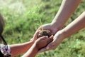 Child little girl and parent holding young plant in hands Royalty Free Stock Photo