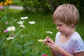 The child looked carefully at the flowers on a green meadow. Curiosity and the study of the environment. nature