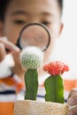 Child Looking at Cactus with Magnifying Glass