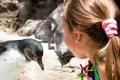 Child Looking at Humboldt Penquin