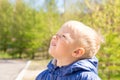 Child looking up Royalty Free Stock Photo