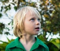 Child looking with wonder in nature Royalty Free Stock Photo