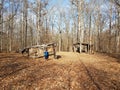 Child looking at wood cabins in forest or woods Royalty Free Stock Photo