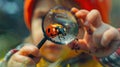 the child looks through a magnifying glass at the insect ladybug