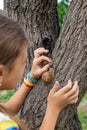 The child looks at the snail. Selective focus. Royalty Free Stock Photo