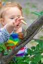 The child looks at the snail. Selective focus. Royalty Free Stock Photo