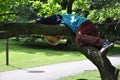 Child lying on tree branch