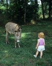 Child meets burro