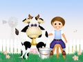 Child milking a cow
