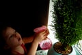 Child moistens the flowers from the spray.Green cypress tree in blue pot