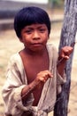 Child native indian of Brazil Royalty Free Stock Photo