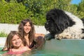 Child and newfoundland dog in swimming pool Royalty Free Stock Photo
