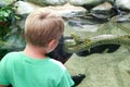 Child observing a snake on the aquarium of the Zoo