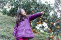 Child on Orange Farm Royalty Free Stock Photo