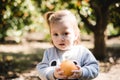 Child and oranges, boy picks oranges, fruit orange grove, organic farm, Israel Royalty Free Stock Photo