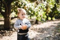 Child and oranges, boy picks oranges, fruit orange grove, organic farm, Israel Royalty Free Stock Photo