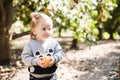 Child and oranges, boy picks oranges, fruit orange grove, organic farm, Israel Royalty Free Stock Photo