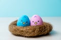 child ornament conceptual banner egg chicken nest Royalty Free Stock Photo