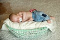 Child with pacifier asleep in crib Royalty Free Stock Photo