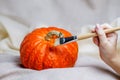 A child paints a pumpkin with a brush with orange paint. Preparing for Halloween. Autumn products for a healthy diet. Royalty Free Stock Photo