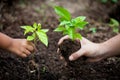 Child and parent hand planting young tree on black soil together Royalty Free Stock Photo