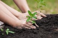 Child and parent hand planting young tree on black soil together Royalty Free Stock Photo