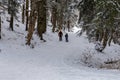 Child with parent walking in the woods in winter, Transylvania, Romania