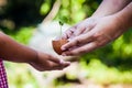 Child with parents hand holding young tree in egg shell together