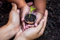 Child with parents hand holding young tree in egg shell together